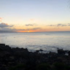 Meet your Posher, Libra2482